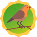 Natureza e tranquilidade para renovar as energias.